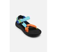 Teva Hurricane XLT JR 31 Multicolor