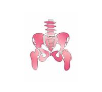 Teweakt Anatomía Humana cráneo pulmón Lumbar Columna Vertebral Esqueleto médico Cuadro sobre Lienzo for Pared póster e Impresiones Cuadros de Pared for decoración de clínica(C,30X40 cm Unframed)