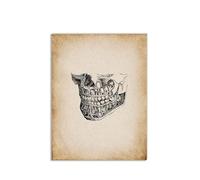 Teweakt Pósteres Vintage de Ciencia de anatomía Dental médica Humana, Impresiones artísticas, Pintura de Lona nórdica, Cuadros de Pared, decoración de clínica médica(D,40X50 cm No Framed)