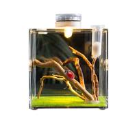 Tewzafiya Reptil transparente, recinto para mascotas, Cleant Reptile Growth Terrarium, caja de cría de animales ligeros y pequeños para tortugas, escarabajos, caracoles y lagartos