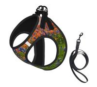 Texas Bluebonnets Scenery - Juego de arnés y correa para perro, chaleco reflectante ajustable para cachorros para perros pequeños, medianos y grandes y gatos