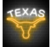 TEXAS - Letrero de neón de cuerno largo para decoración de pared, brillo ajustable, letreros de neón de vaca, letrero de neón colgante alimentado por USB para sala de juegos, cueva de hombre, bar