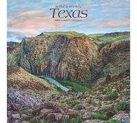 Texas Wild & Scenic 2025 12 X 24 Inch Monthly Square Wall Calendar Plastic-Free