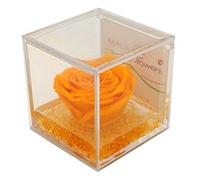 Texo di Claudio Rosso Rosa auténtica amarilla estabilizada perfumada 8 x 8 x 8 cm Idea regalo novia esposa