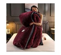 TFBHL Set de sábana de la Cama Velveta de Terciopelo Cubierta década Juego de Ropa de Cama 150x200 180x220 220x230 Winter Winter Warmed Snow -Fleece Color sólido Lintos de Cama (Color: D, Tamaño:
