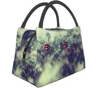 TFDGDGH Bolsa de Almuerzo aislada portátil Antigua & Barbuda Bandera Nacional Tote Bento Bag para Oficina Escuela Senderismo Playa Picnic Pesca