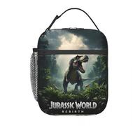 TFDGDGH Bolsas de Almuerzo con Aislamiento térmico Jurassic Rebirth Dinosaurs Attack World Covert Mission Portable Bento Box Cooler Thermal Lunch Box