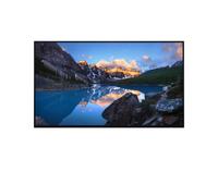 TFT U2424H 23.8 PULGADAS IPS SIN S 1920X1080 16:9 HDMI/DP/USB [EEK: F]