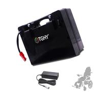 TGHY Batería de Litio de 24 V para Scooter de Movilidad | Placa BMS integrada, carcasa resistente al agua, asa de transporte, para silla de ruedas plegable, con cargador.