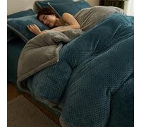 TGPOLI Juego De Funda De EdredóN De Forro Polar,Ropa De Cama De Invierno De Felpa,Forro Polar De Coral De Invierno MáS Funda De EdredóN De Terciopelo, Ropa De Cama, Manta, Madre E Hij