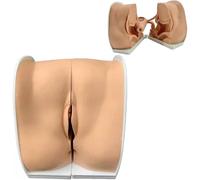 TGPSMDXKV Maniquí ginecológico Femenino, Modelo de anatomía genital Femenina, Modelo de tamaño Real para la enseñanza de métodos anticonceptivos Femeninos