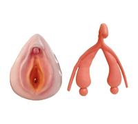 TGPSMDXKV Modelo Combinado de Vulva de maniquí ginecológico Femenino para Estudio en el Aula de Ciencias, exhibición, enseñanza, Modelo Humano a tamaño Real para Estudio y comunicación