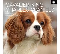 TGSC - Calendario 2026 Cavalier King Charles Spaniels de 16 meses, calendario familiar cuadrado de pared 2026 Reino Unido, planificador con rejilla grande para organización del hogar u oficina