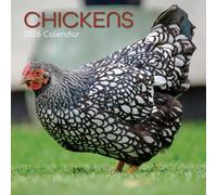 TGSC - Calendario 2026 de 16 meses (septiembre de 2025 a diciembre de 2026), calendario familiar cuadrado de pared 2026 Reino Unido, planificador con cuadrícula grande para organización del hogar u