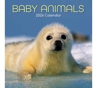 TGSC | Calendario 2026 de animales bebés de 16 meses (septiembre de 2025 a diciembre de 2026) Calendario familiar cuadrado de pared 2026 Reino Unido | Planificador con cuadrícula grande para