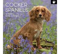 TGSC - Calendario 2026 de Cocker Spaniels de 16 meses (septiembre de 2025 a diciembre de 2026), calendario familiar cuadrado de pared 2026 Reino Unido, planificador con cuadrícula grande para