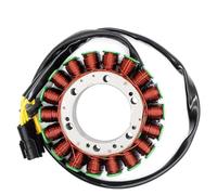 TGUQANM Bobina estator Moto para F650GS 2009 2010 2011 2012 2013 2014 para F700GS 2013 2014 para F800R 2010 2011 2012 2013 2014 Accesorios para La Bobina del Estator del Generador Motocicleta