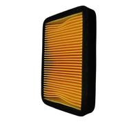 TGVSELPJ Piezas de Motocicleta Accesorios para Motocicletas - Filtro De Aire - Elemento Limpiador De Admisión para Benelli TNT150 TNT150i TNT 150 150i Bj150-29A BJ150-29B BN 125 150 CC 49200L290000