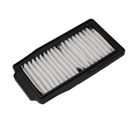 TGVSELPJ Piezas de Motocicleta Elemento Limpiador del Filtro De Aire para Suzuki GW250 Inazuma 250 12-17 GSX-R250 L3 2013 13780-48H00-000 Accesorios para Motocicletas
