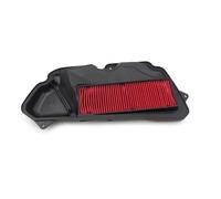 TGVSELPJ Piezas de Motocicleta Filtro De Aire para Motocicleta, Elemento Limpiador De Admisión De Aire para Honda LEAD125 2022 2023 2024, Accesorios para Motocicleta, Esponja De Doble Capa De Espuma.