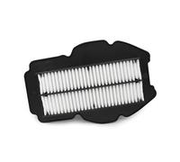 TGVSELPJ Piezas de Motocicleta Limpiador De Filtro De Aire De Repuesto para Motocicleta De 650 CC, Filtro De Admisión De Aire para HYOSUNG GV650 GV 650 QH6, Accesorios para Motocicleta.