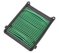 TGVSELPJ Piezas de Motocicleta Limpiador De Filtro De Aire para Motocicleta para Honda CRF1100L CRF 1100 L CRF1100 para Africa Twin Adventure 2020 2021 2022 2023 2024