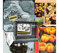 Thank You, Im Sorry - Growing In Strange Places [Vinilo]