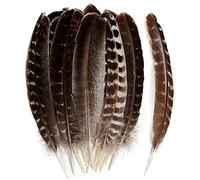 THARAHT 24 plumas de alas de Pavo salvaje natural volumen de colcha de plumas de 12-14 pulgadas 30-35 cm para la colección artesanales DIY decoración de bodas plumas de cola de Pavo salvaje