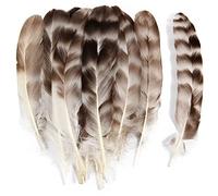 THARAHT 24 plumas de pollo naturales de red a granel 6-8 pulgadas 15-20cm para la decoración de bodas de la serie de proyectos artesanales de bricolaje plumas de pollo de red