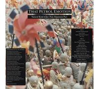That Petrol Emotion - Natural Kind Of Joy