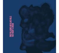 Pino Palladino & Blake Mills – That Wasn't a Dream – Vinilo (LP)