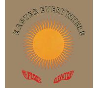 The 13th Floor Elevators - Easter Everywhere 30cm 180g Half-Speed [Vinilo]