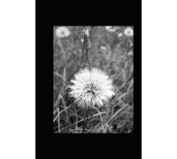 The 30 Day Frugal Reset Workbook: A Step-By-Step Guide to Saving Money, Cutting Spending, and Building Simple, Sustainable Financial Habits: A Daily ... and Build Long-Term Financial Freedom