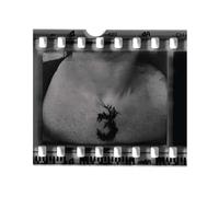 The 3rd and the Mortal - The 3rd and the Mortal (Lp) [Vinilo]