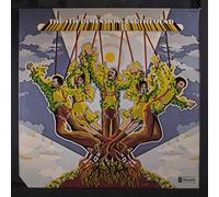 The 5th Dimension - Earthbound