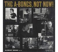 The A-Bones - Vol. 6-Big Itch [Vinilo]