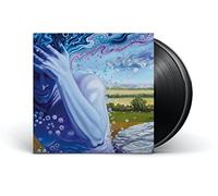 The Absence Of Presence [Vinilo]