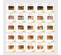 The Academy in Peril (2024 Version) - Vinilo