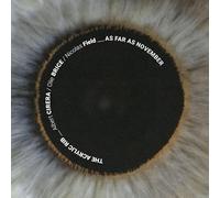 The Acrylic Rib: As far as November [CD]