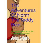 The Adventures Of Norm The Teddy Bear.: How we all need a Norm the Teddy Bear in our lives?