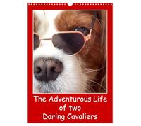 The Adventurous Life of two Daring Cavaliers (Wall Calendar 2026 DIN A3 portrait), CALVENDO 12 Month Wall Calendar: Two charming Cavaliers bring joy to dog lovers daily