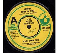 The Albion Band - Hopping Down In Kent - Sample