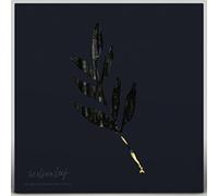 The Album Leaf - An Orchestrated Rise To Fall [VINYL] [Vinilo]