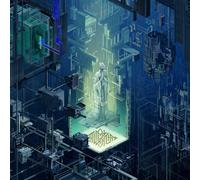 The Algorithm Data Renaissance (Vinyl) 12" Album (Importación USA)