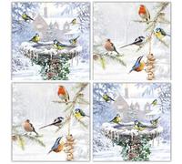 The Almanac Gallery - Caja de 20 tarjetas de Navidad artísticas benéficas - «Winter Birdbath and Winter Feeder» - Bonitos diseños artísticos con pájaros británicos - 20 tarjetas, 10 de cada uno de los