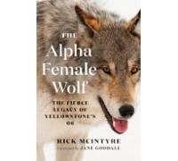The Alpha Female Wolf