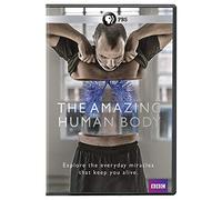 The Amazing Human Body [USA] [DVD]