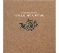 The'' ''Amazing Pilots - Hello My Captor