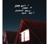 The Amazons How Will I Know If Heaven Will Find Me? (Vinyl)