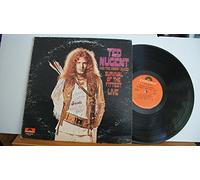 The Amboy Dukes (US) - Survival Of The Fittest - Live